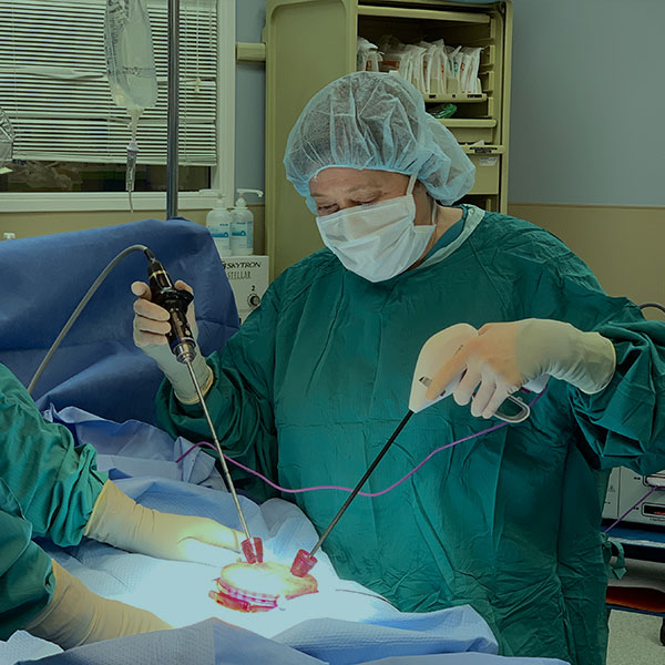 Procedures & Surgery