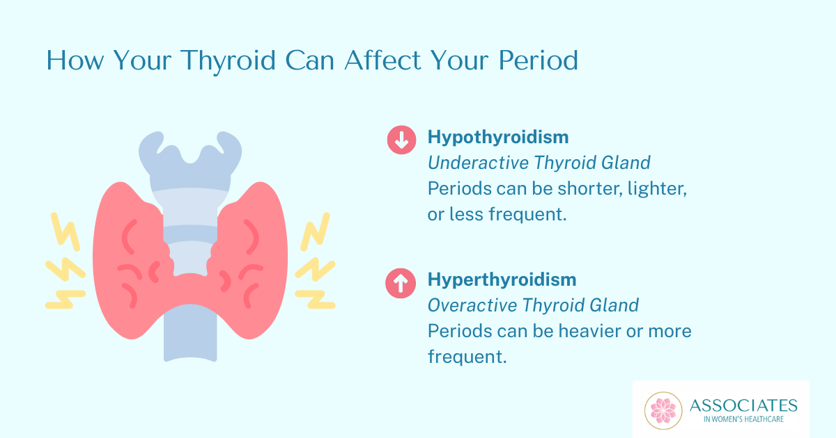 How does the thyroid gland affect your period